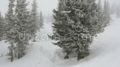 雪覆盖松树在雪的天气在滑雪山缓慢运动。 1920x1080
